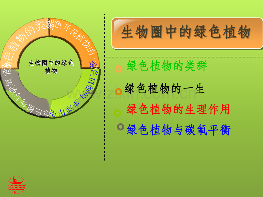 生物圈中的绿色植物---专题复习(定).ppt_第2页