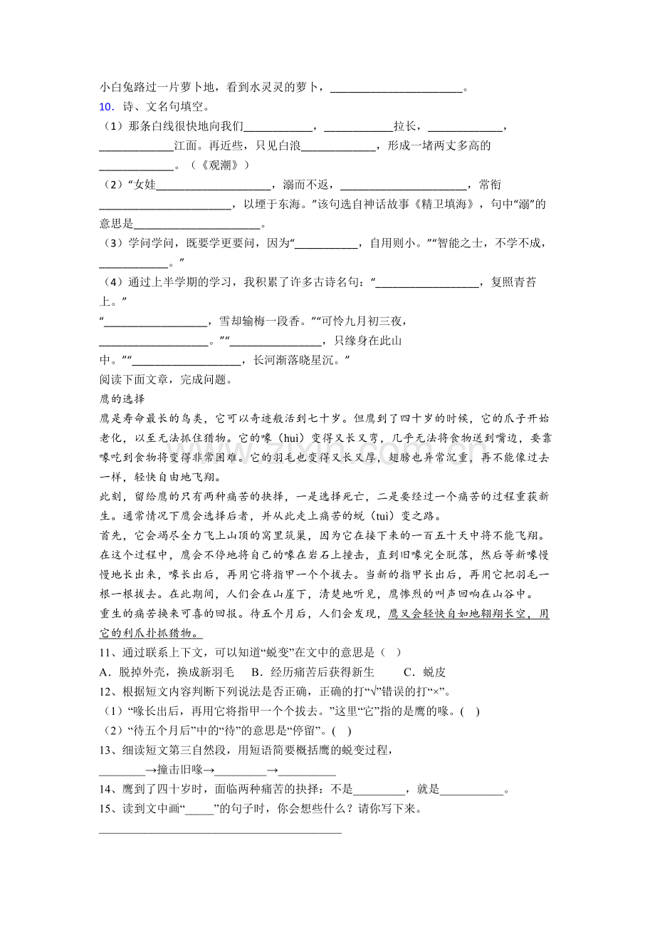 【语文】山东省济南市东方双语实验学校小学四年级下册期末复习试题.doc_第2页