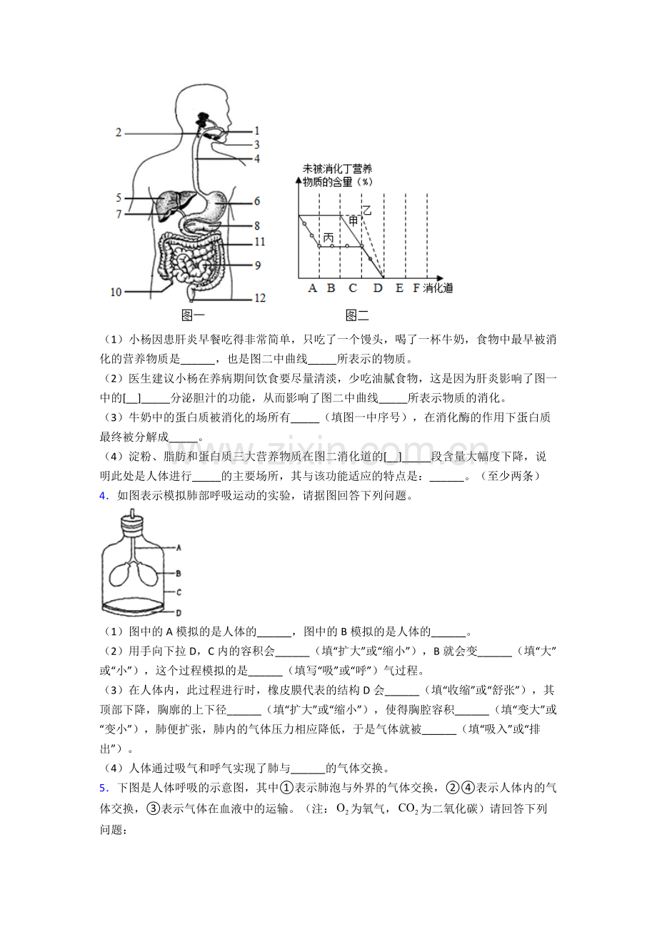 人教中学七年级下册生物期末解答实验探究大题质量监测试卷附答案.doc_第2页