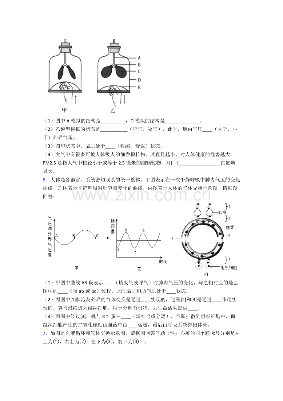 人教版初一下册生物期末解答实验探究大题综合复习试卷.doc_第3页