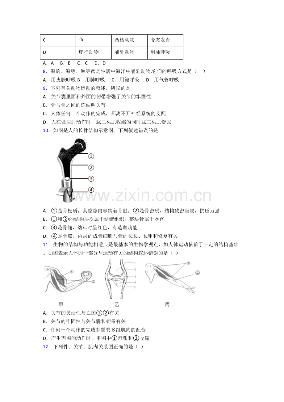 初二上学期期末强化生物综合试卷带解析(一).doc_第2页