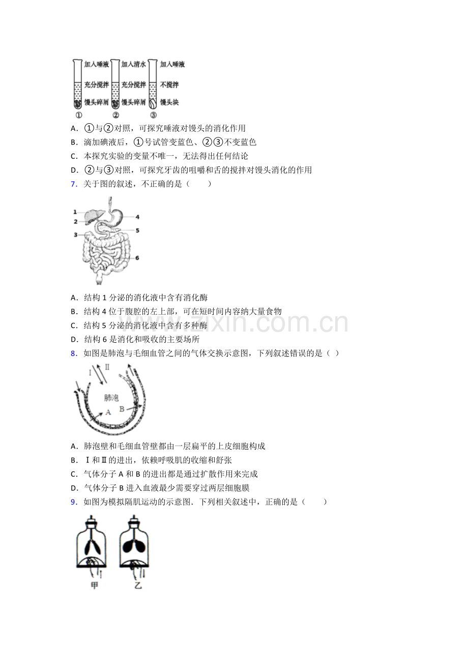 2022年人教版中学初一下册生物期末测试试卷(及答案)word.doc_第2页