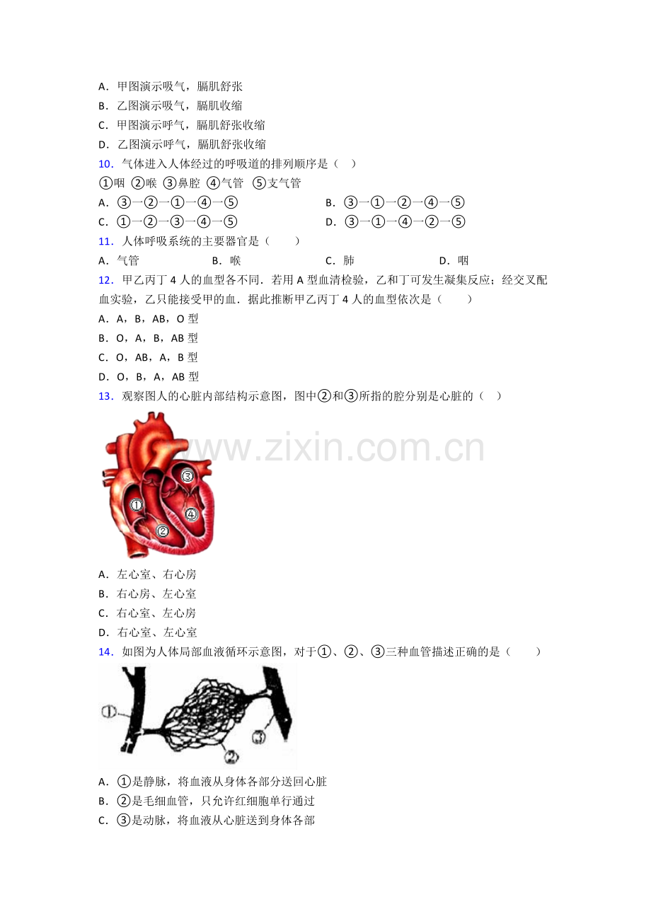 2022年人教版中学初一下册生物期末测试试卷(及答案)word.doc_第3页