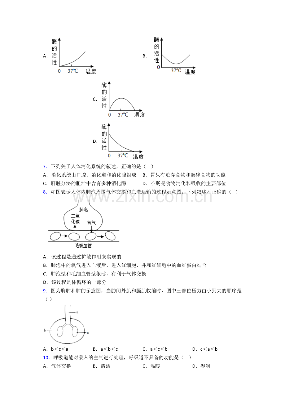 人教七年级下册生物期末综合复习(及答案)经典.doc_第2页