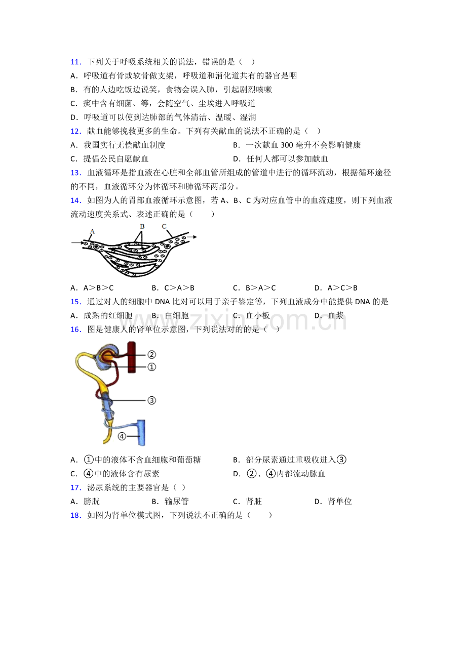 人教七年级下册生物期末综合复习(及答案)经典.doc_第3页