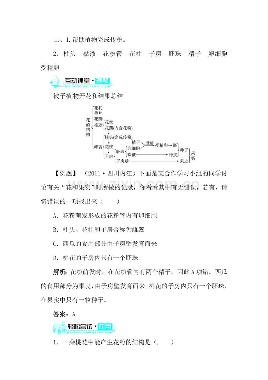 开花和结果练习.doc_第2页