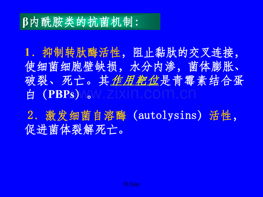 药理学第三十六章-β-内酰胺类抗生素.ppt_第2页