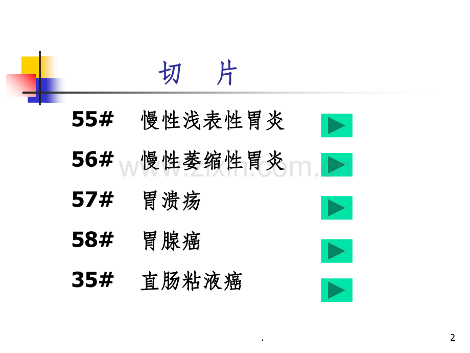 病理学(第八版)切片考试消化管.ppt_第2页