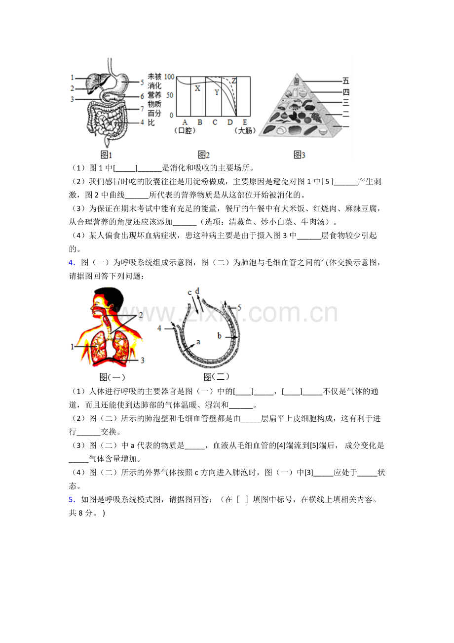 2024年人教版初一下册生物期末解答实验探究大题学业水平卷含答案word.doc_第2页