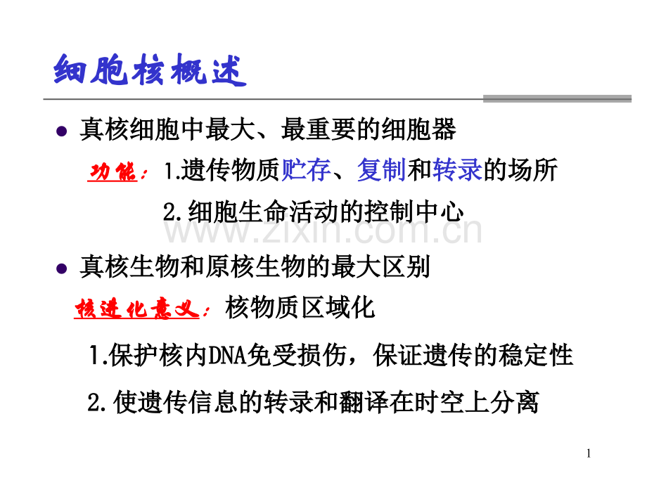 医学细胞生物学细胞核.ppt_第1页