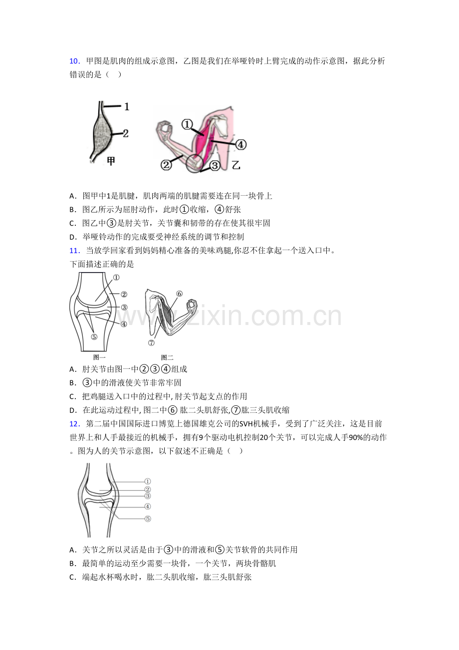 北京第三十九中学生物八年级上册期末试卷.doc_第2页