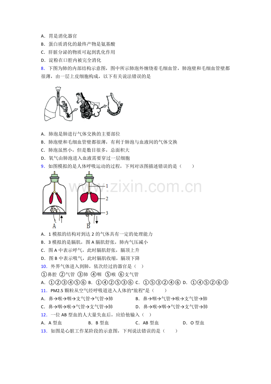 2022年人教版中学初一下册生物期中综合复习试卷(含解析)word.doc_第2页