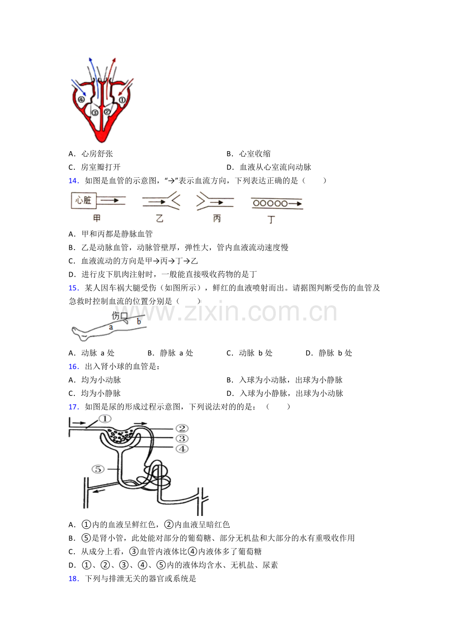 2022年人教版中学初一下册生物期中综合复习试卷(含解析)word.doc_第3页