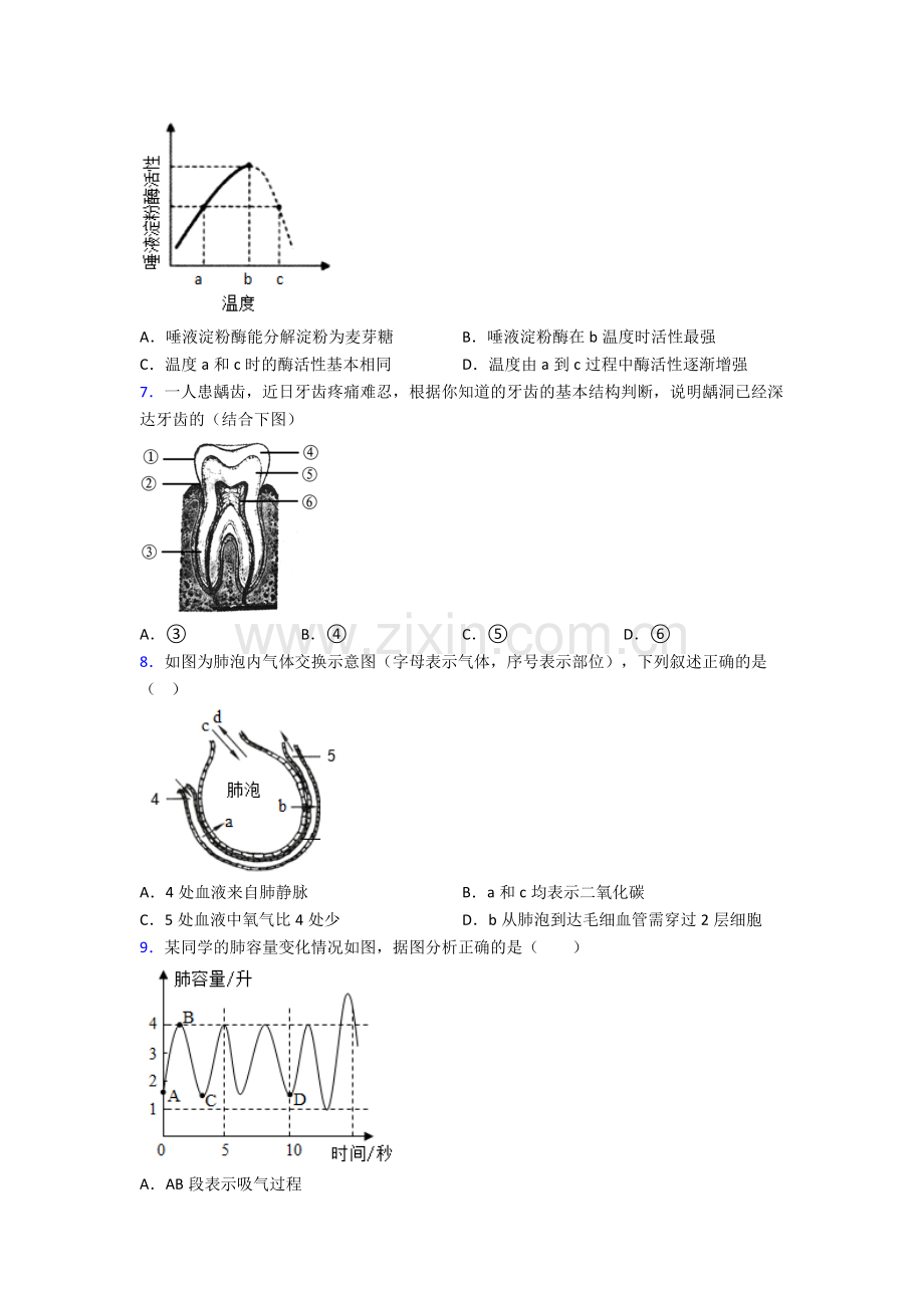 2023年人教版初一下册生物期末复习题附解析完整.doc_第2页