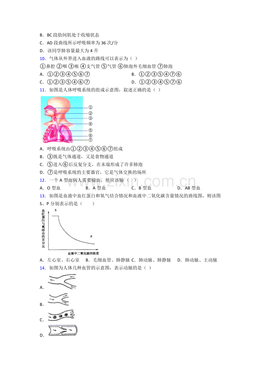 2023年人教版初一下册生物期末复习题附解析完整.doc_第3页