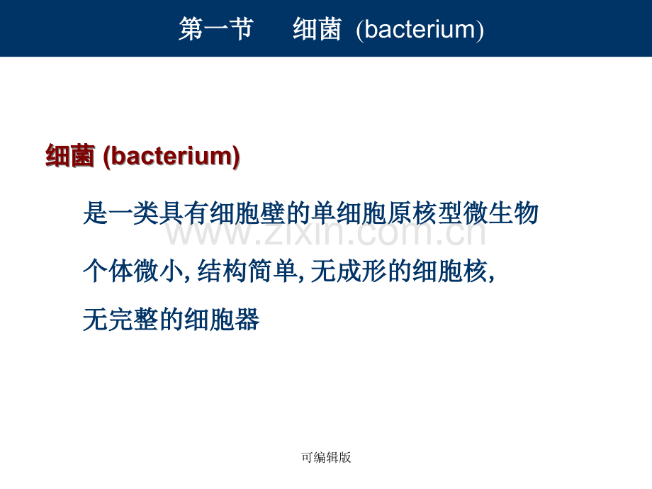 细菌的形态与结构(4).ppt_第2页