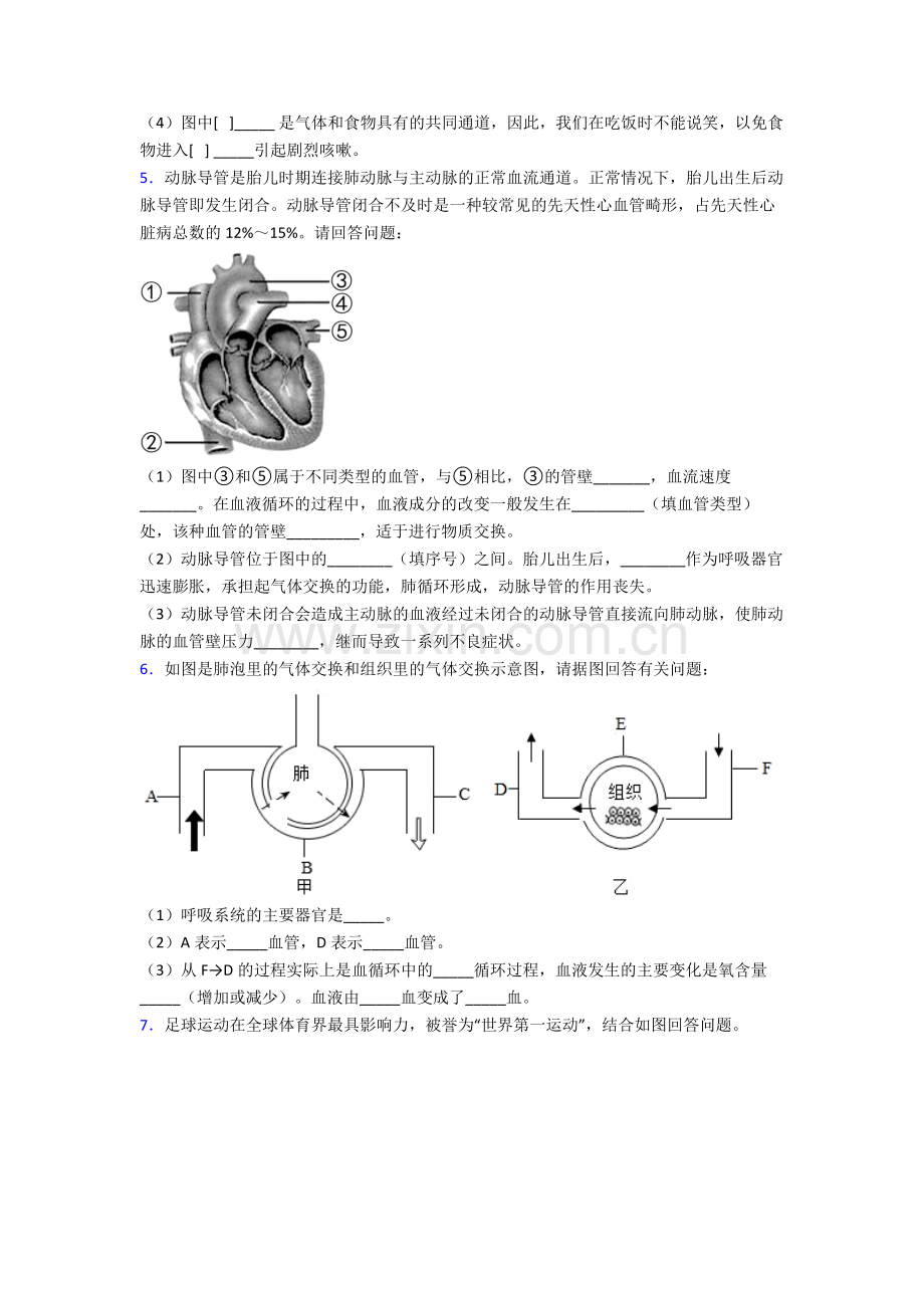 2022年人教版初一下册生物期末解答实验探究大题考试题(含答案).doc_第3页