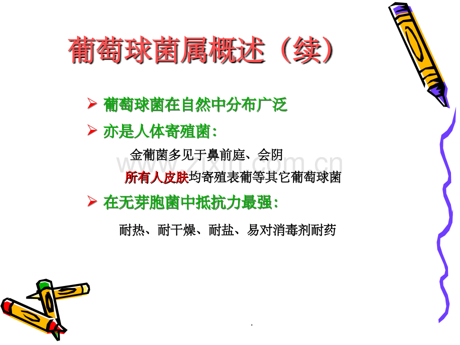 葡萄球菌感染.ppt_第3页