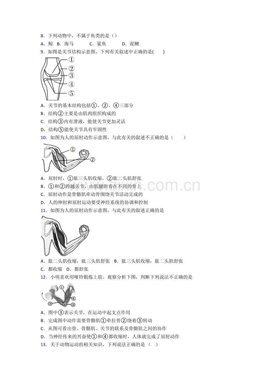 八年级上册期末生物综合检测试卷解析(一).doc_第2页