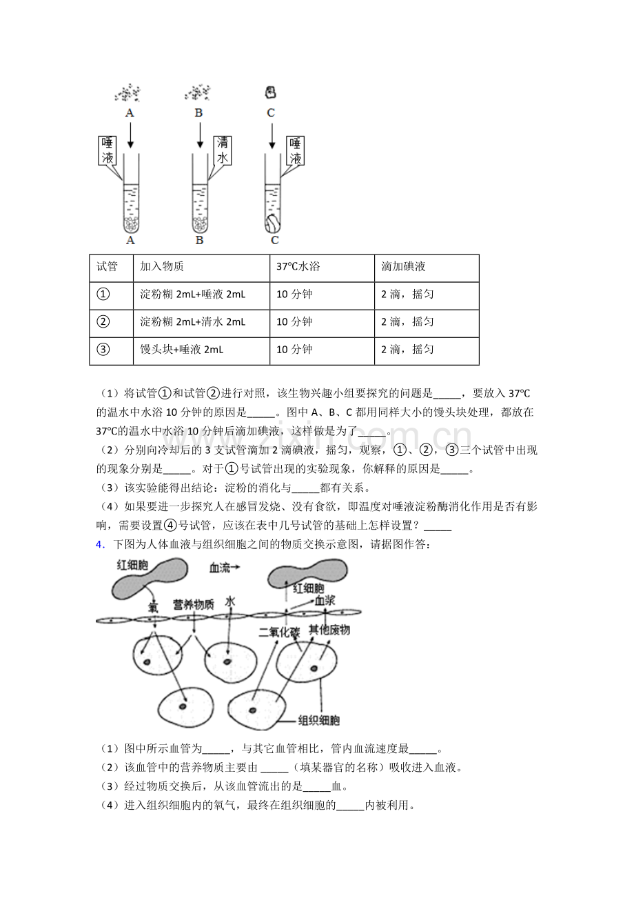 人教中学七年级下册生物期末解答实验探究大题质量监测试卷含答案.doc_第2页