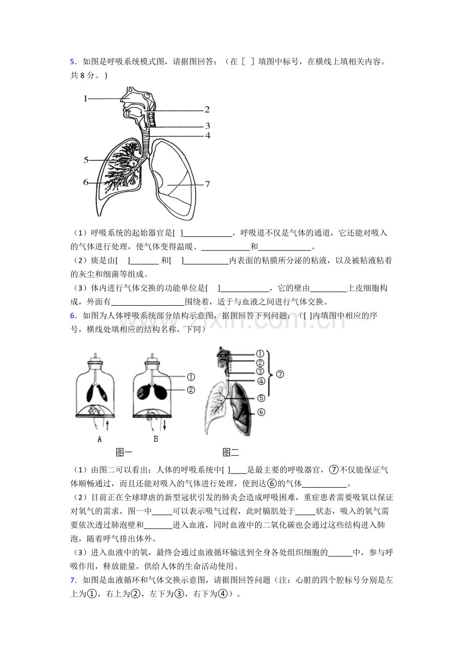 人教中学七年级下册生物期末解答实验探究大题质量监测试卷含答案.doc_第3页