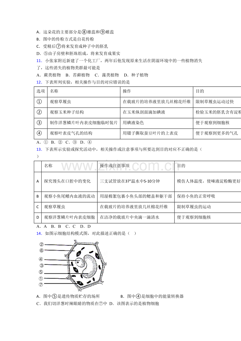 七年级生物上册期末质量检测试卷含答案.doc_第3页