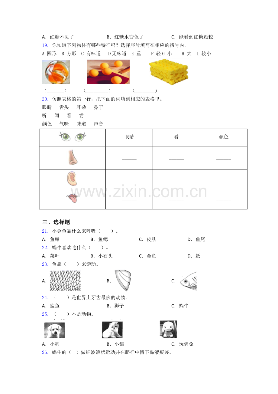 一年级下册上海科学期末试卷测试卷(解析版).doc_第3页