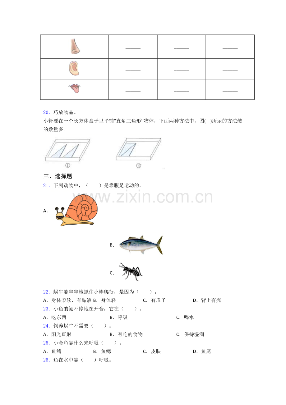 一年级下册期末试卷专题练习(word版.doc_第3页