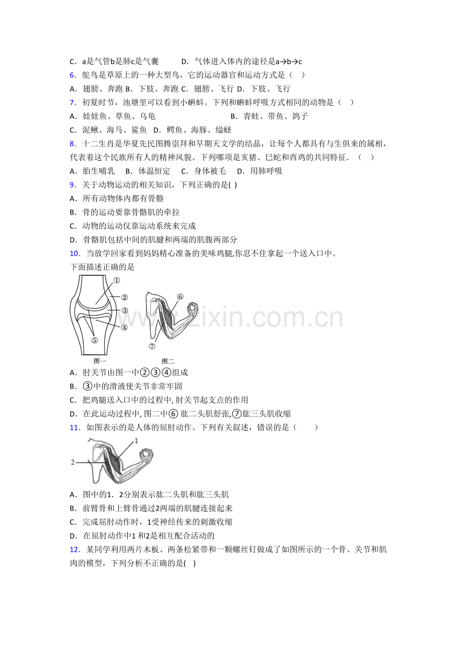 成都电子科技大学实验中学八年级上册期末生物试卷含答案-(2).doc_第2页