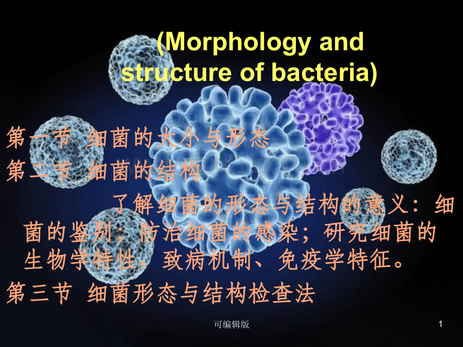 细菌形态与结构(1).ppt_第1页