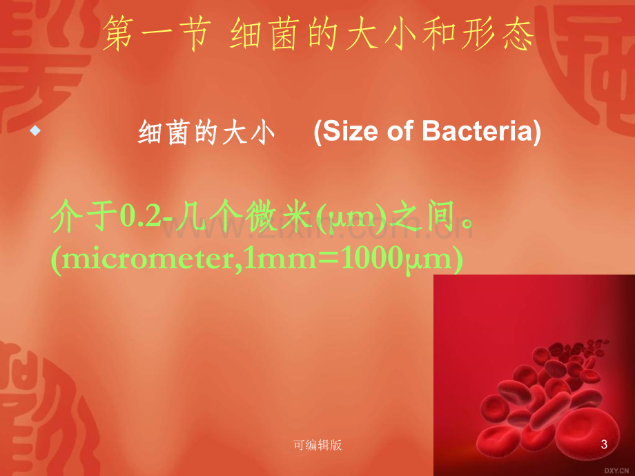 细菌形态与结构(1).ppt_第3页