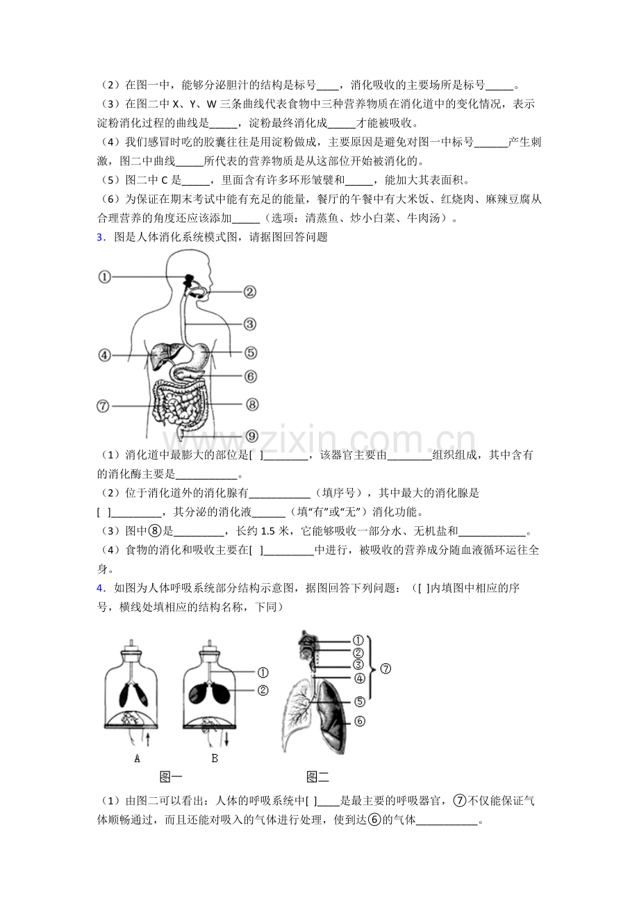 2024年人教版中学初一下册生物期末解答实验探究大题综合复习试卷(含解析).doc_第2页