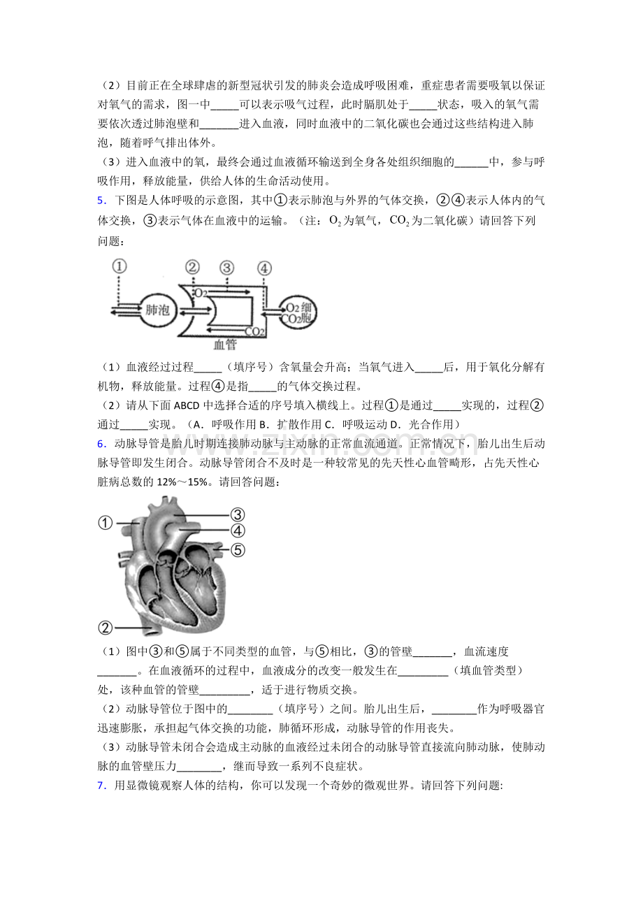 2024年人教版中学初一下册生物期末解答实验探究大题综合复习试卷(含解析).doc_第3页