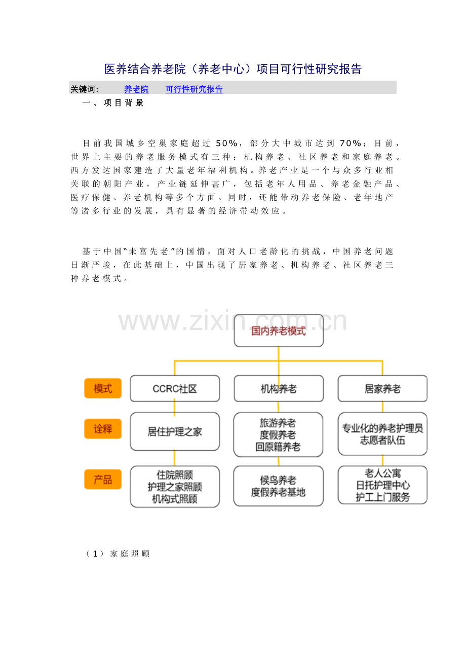 医养结合养老院(养老中心)项目可行性研究报告.docx_第1页