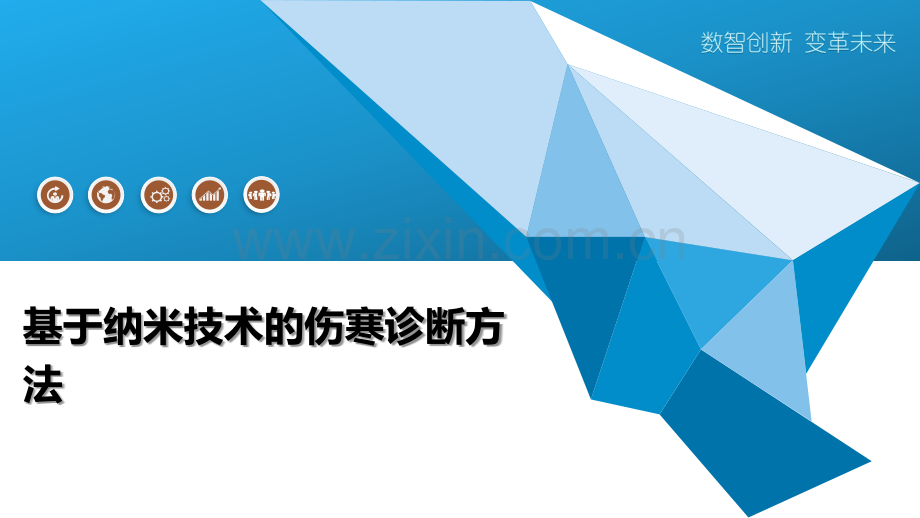 基于纳米技术的伤寒诊断方法.pptx_第1页