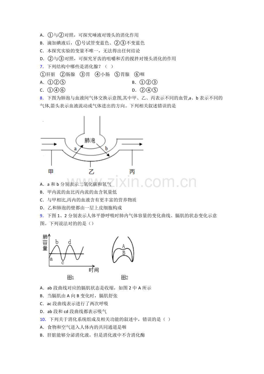 人教版中学七年级生物下册期中学业水平题含答案.doc_第2页