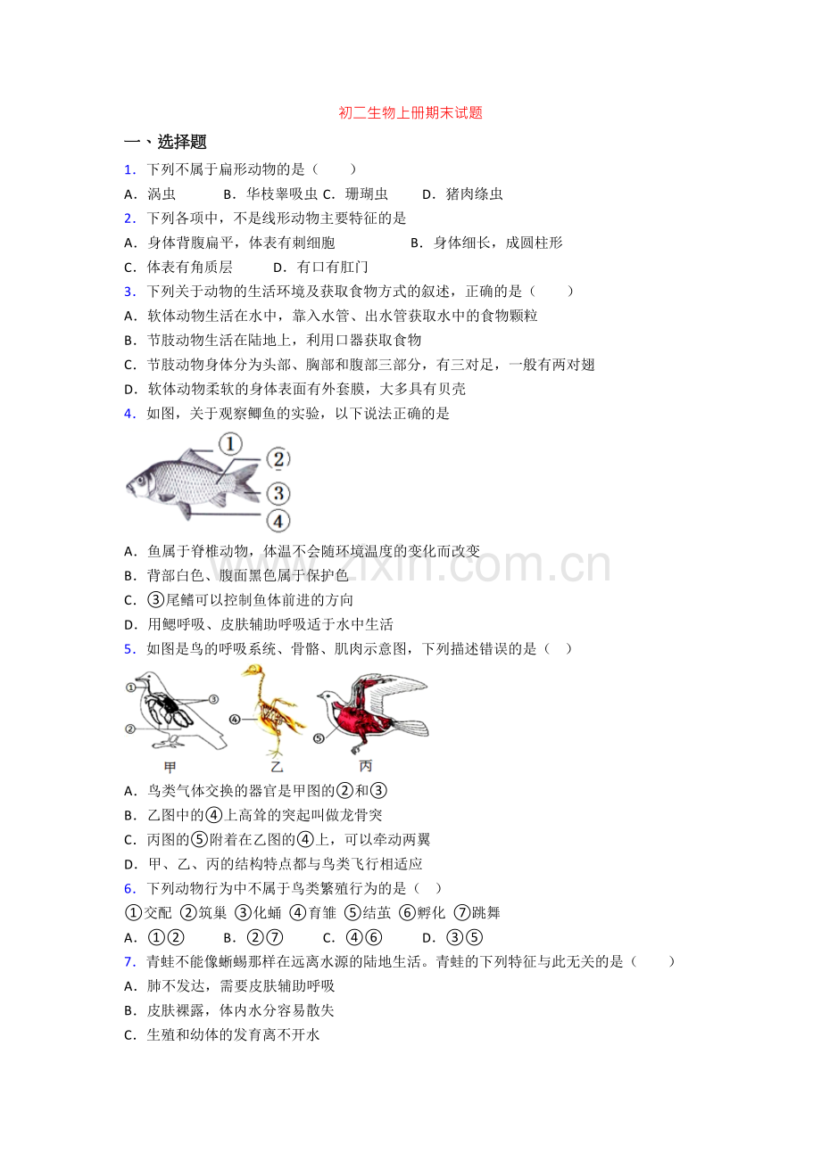 初二生物上册期末试题.doc_第1页