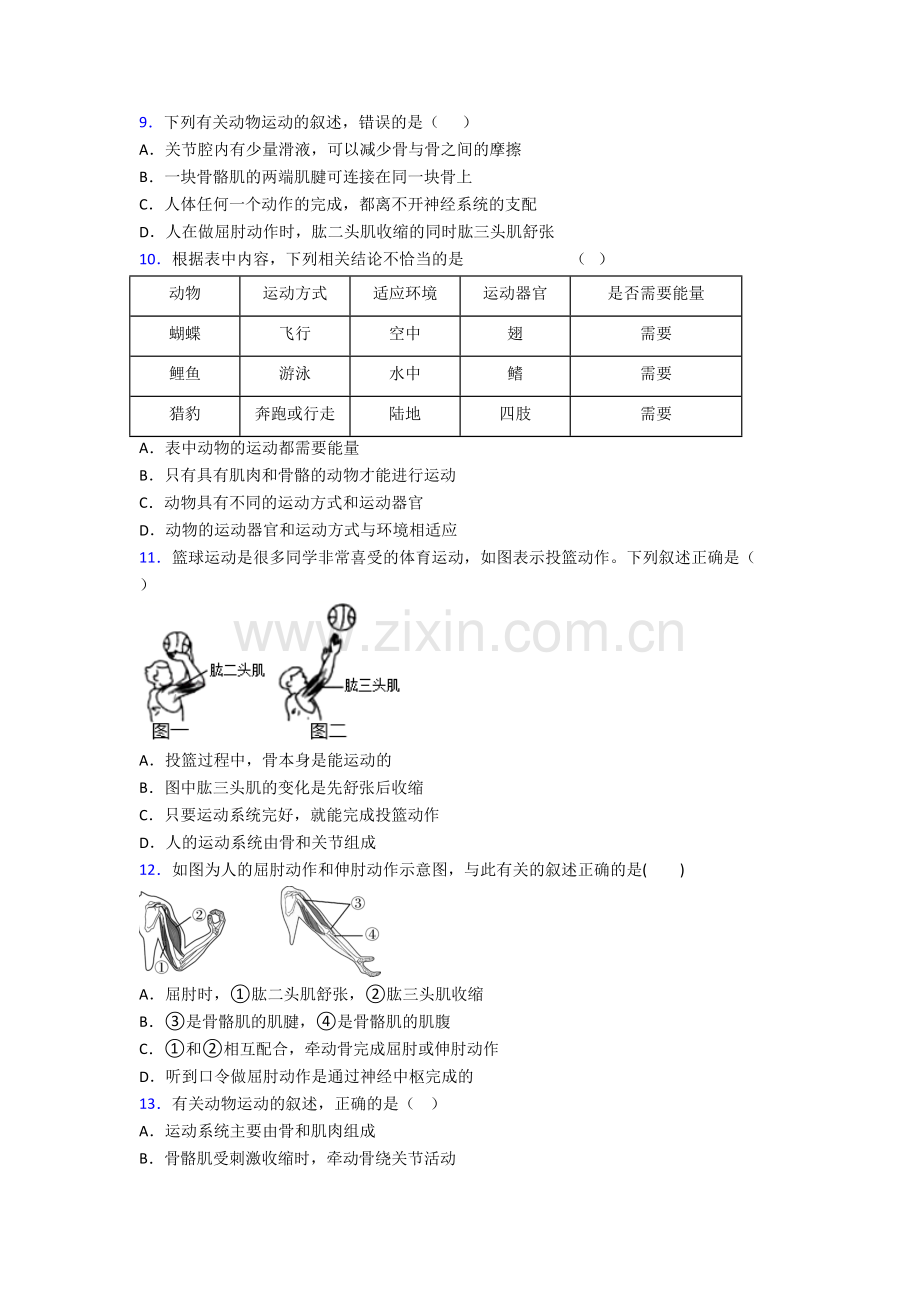 初二上册期末强化生物检测试题附解析(一).doc_第2页