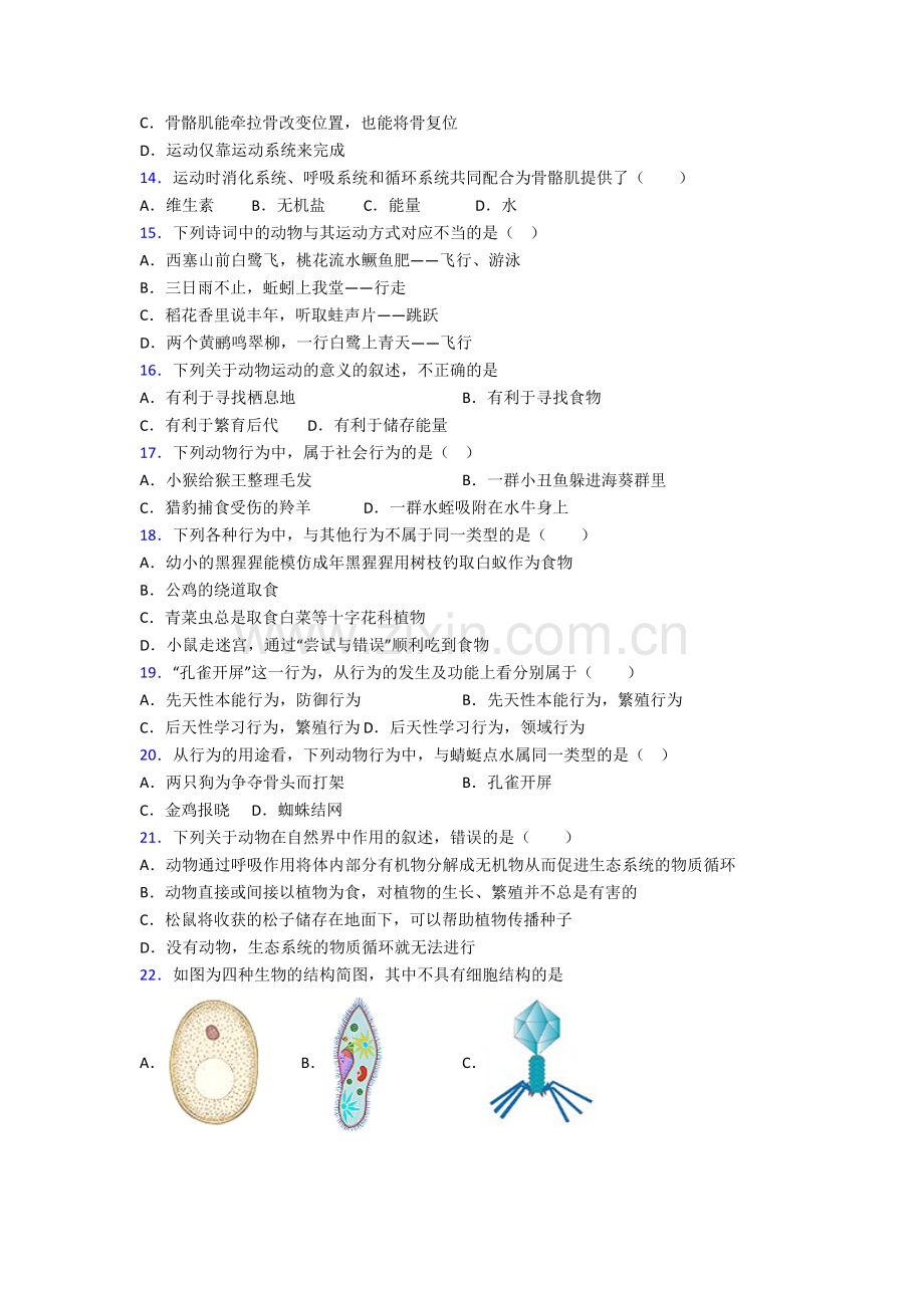 初二上册期末强化生物检测试题附解析(一).doc_第3页