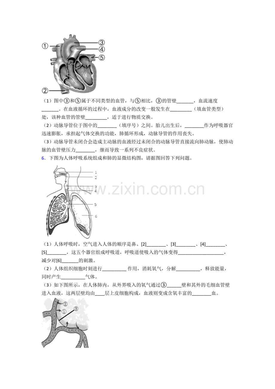 2024年人教版初一下册生物期末解答实验探究大题测试(附答案).doc_第3页