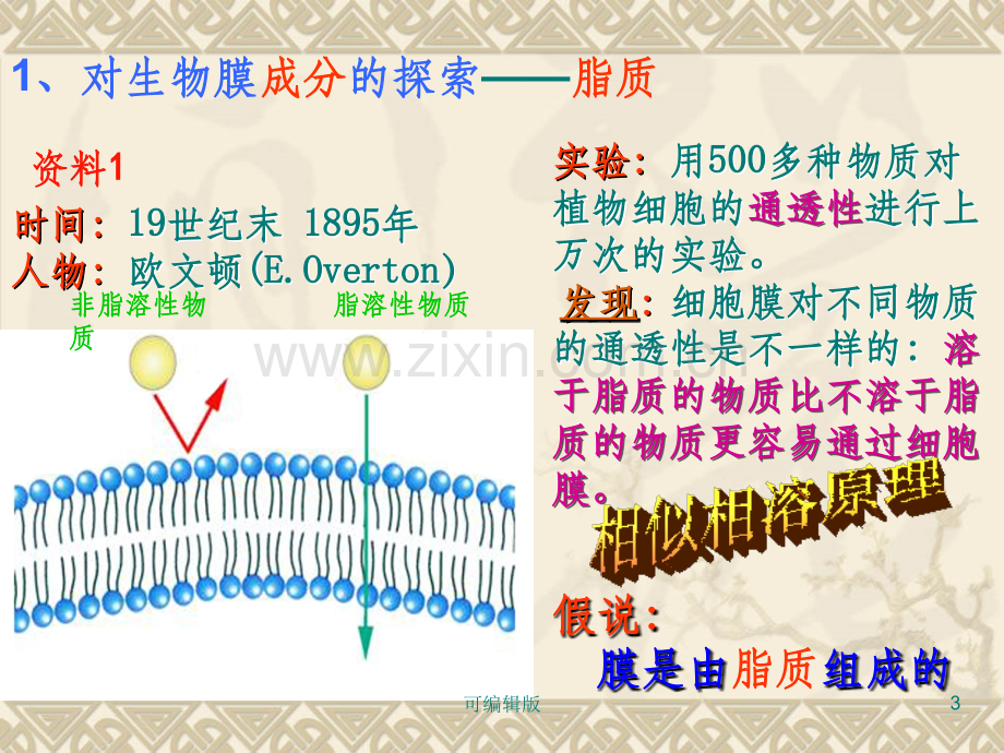 细胞膜流动镶嵌模型.ppt_第3页