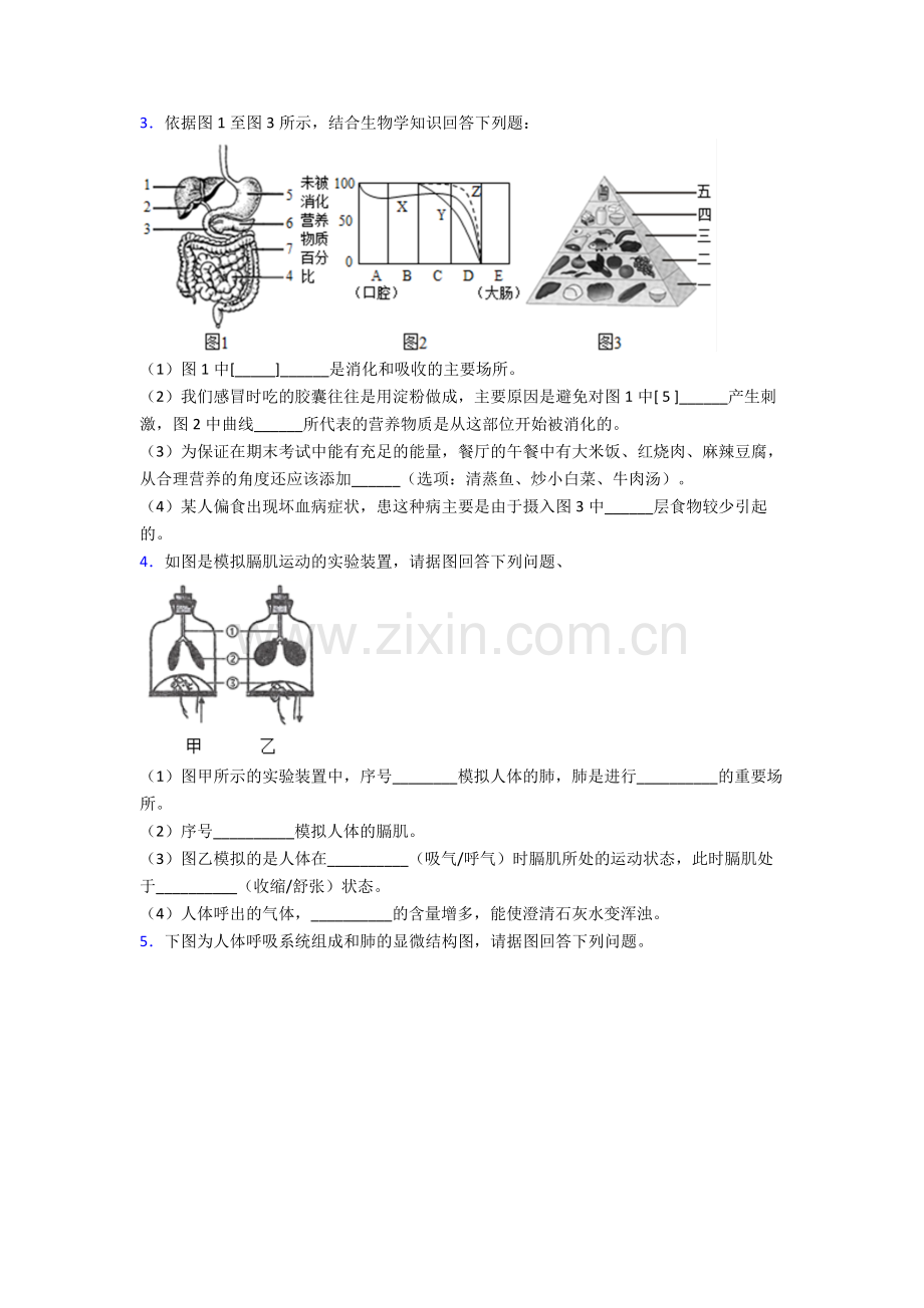 人教版中学初一下册生物期末解答实验探究大题质量监测卷含答案优秀.doc_第2页