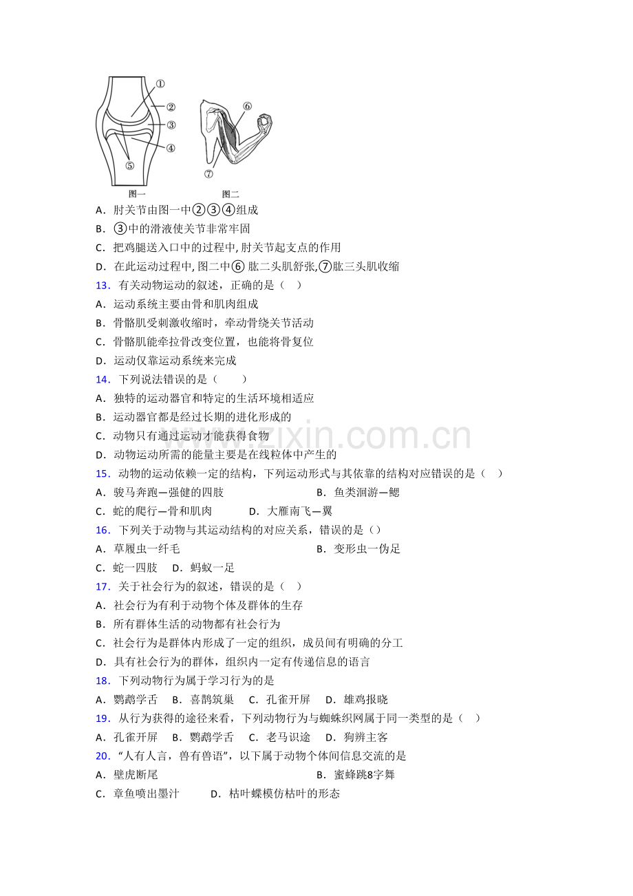 初二生物上学期期末检测试卷含解析(一).doc_第3页