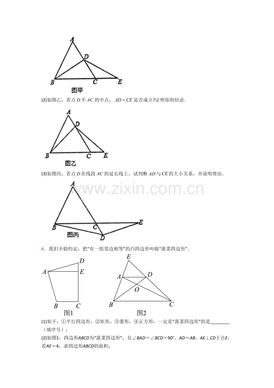 人教版初二上册压轴题数学检测试卷(一)[001].doc_第3页