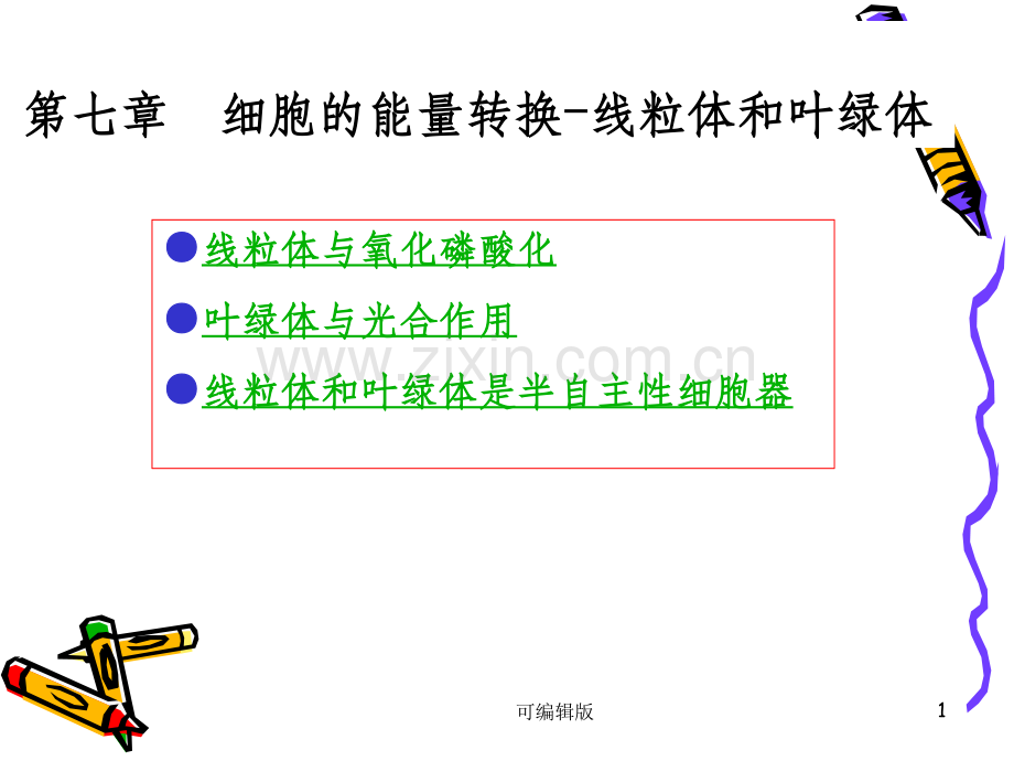 细胞的能量转换──线粒体和叶绿体(1).ppt_第1页