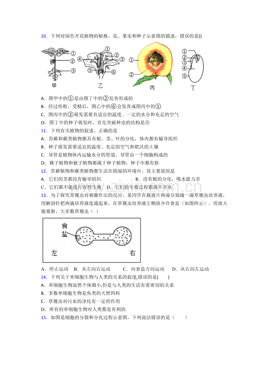 初一上册期末强化生物综合检测试卷带答案-(2).doc_第3页