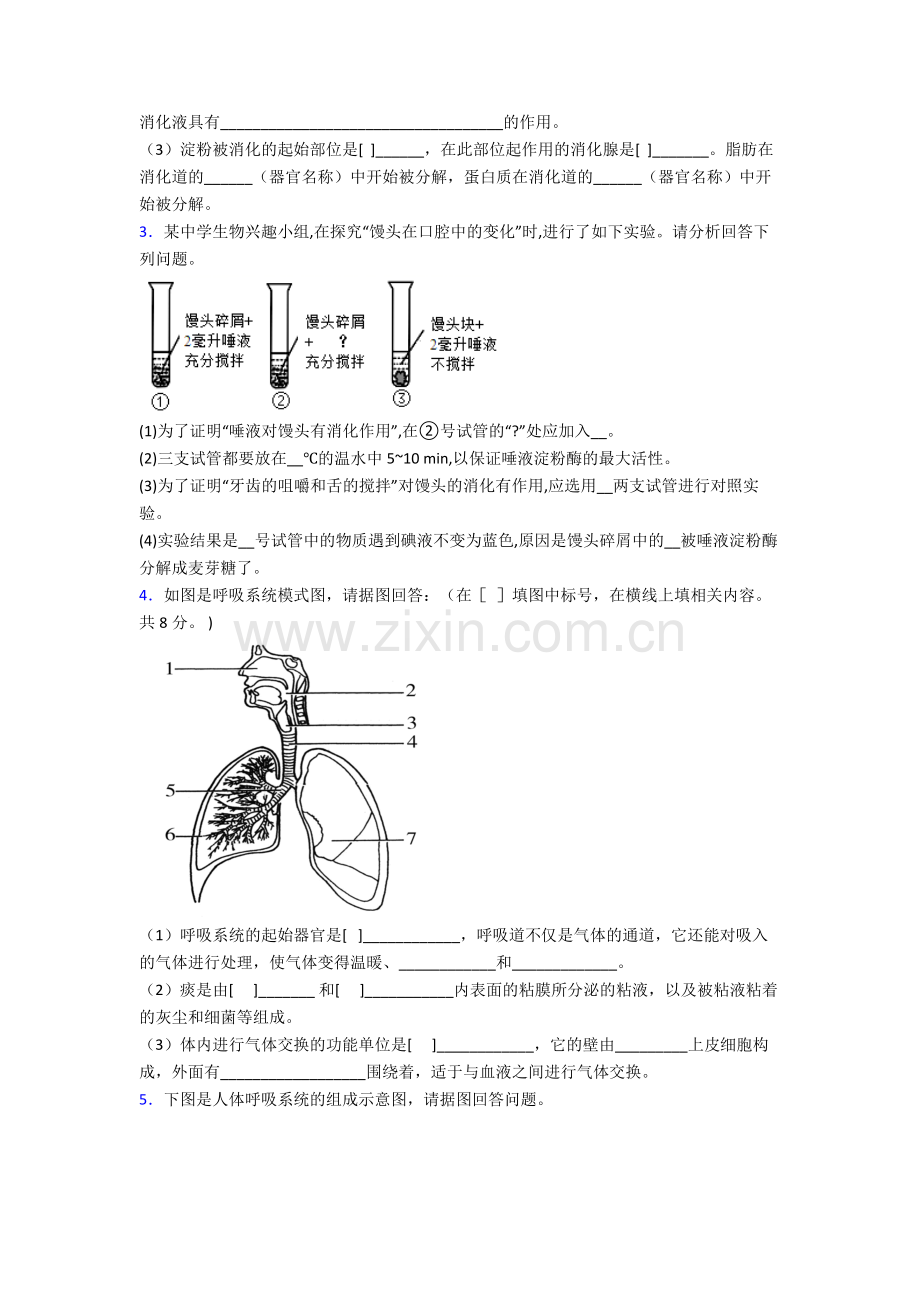 人教版七年级生物下册期末解答实验探究大题试卷含解析优秀.doc_第2页