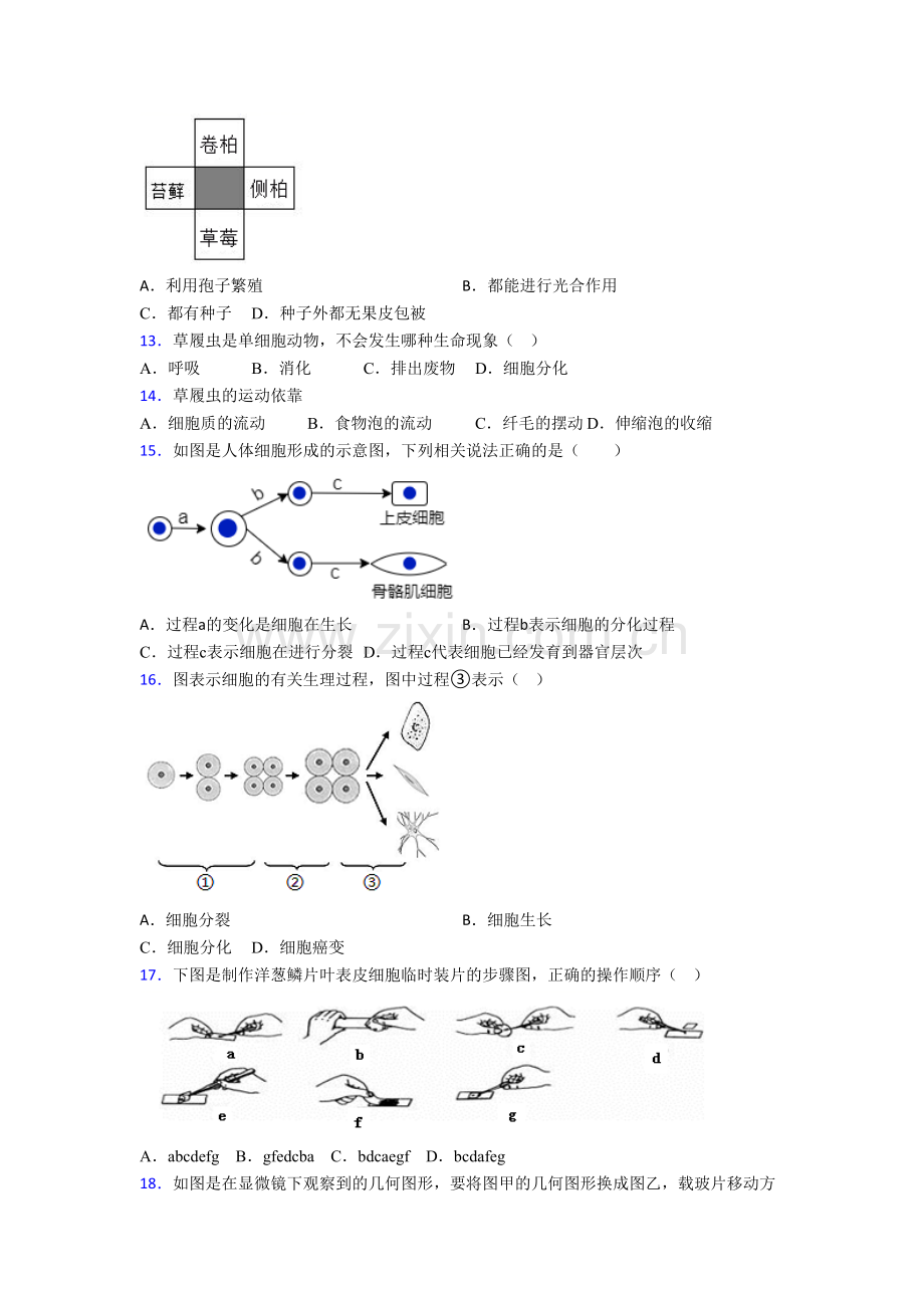 生物七年级上学期期末质量检测试卷(-).doc_第3页