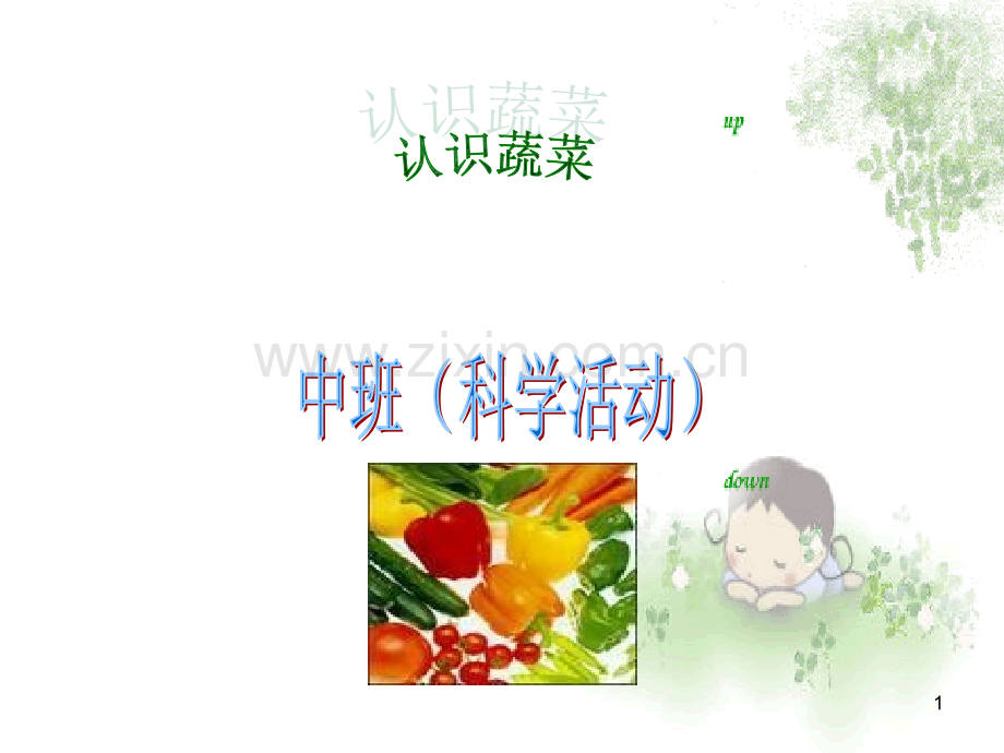 中班科学认识蔬菜.ppt_第1页