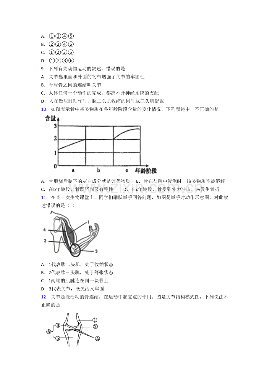 初二上学期期末模拟生物综合检测试卷含答案.doc_第2页